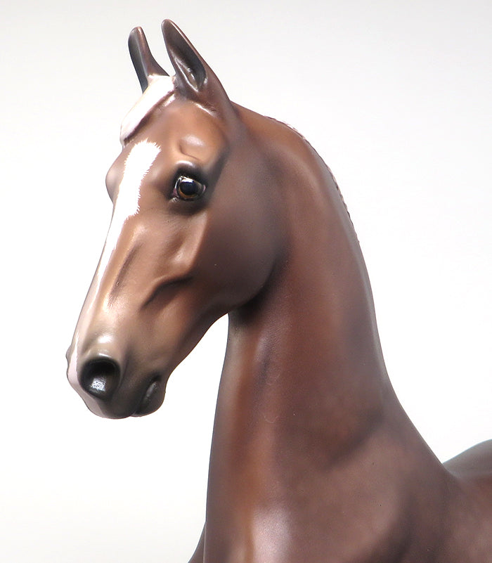 DAPPLED LIVER CHESTNUT