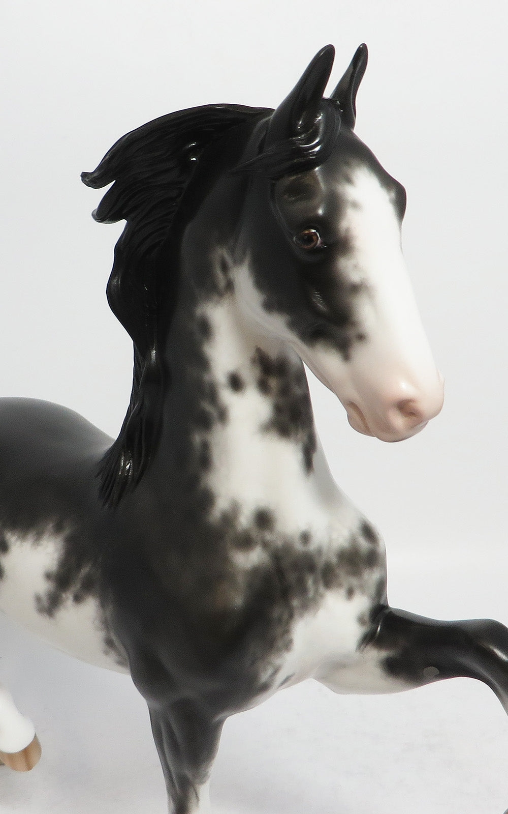 THE SINGING SOLLY-OOAK BLACK SABINO SADDLEBRED MODEL HORSE BY SHERYL LEISURE 2/16/18