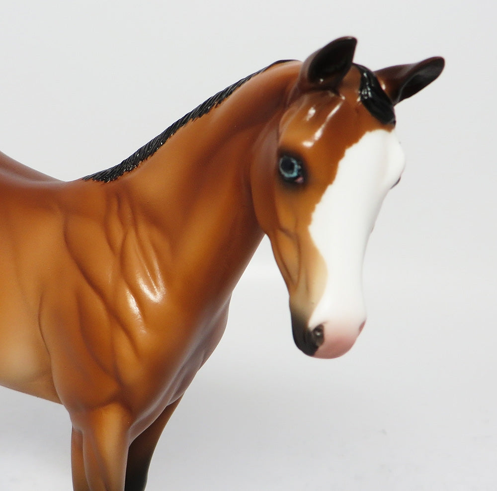 CUSTER-OOAK BAY PAINT WEANLING MODEL HORSE EQ 2017