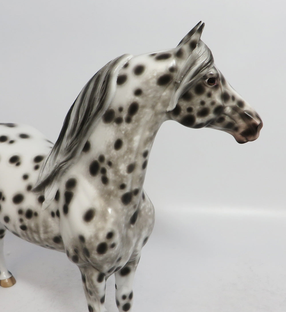MOOSE MORAN-OOAK BLACK LEOPARD MORGAN MORGAN MODEL HORSE BY SHERYL LEISURE 2/16/18