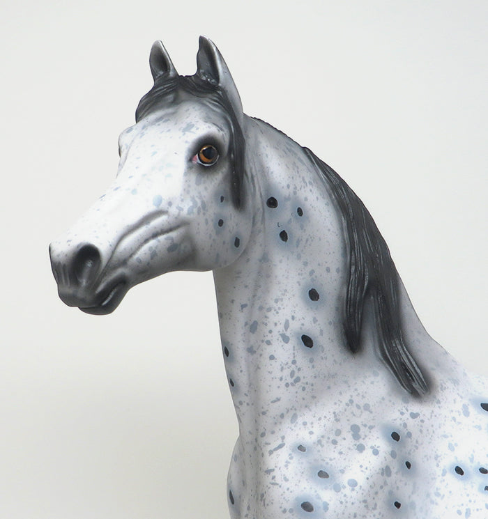 OOAK APPALOOSA MORGAN