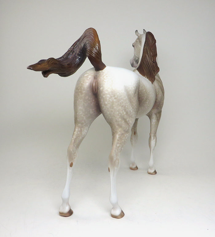 one of a kind arabian