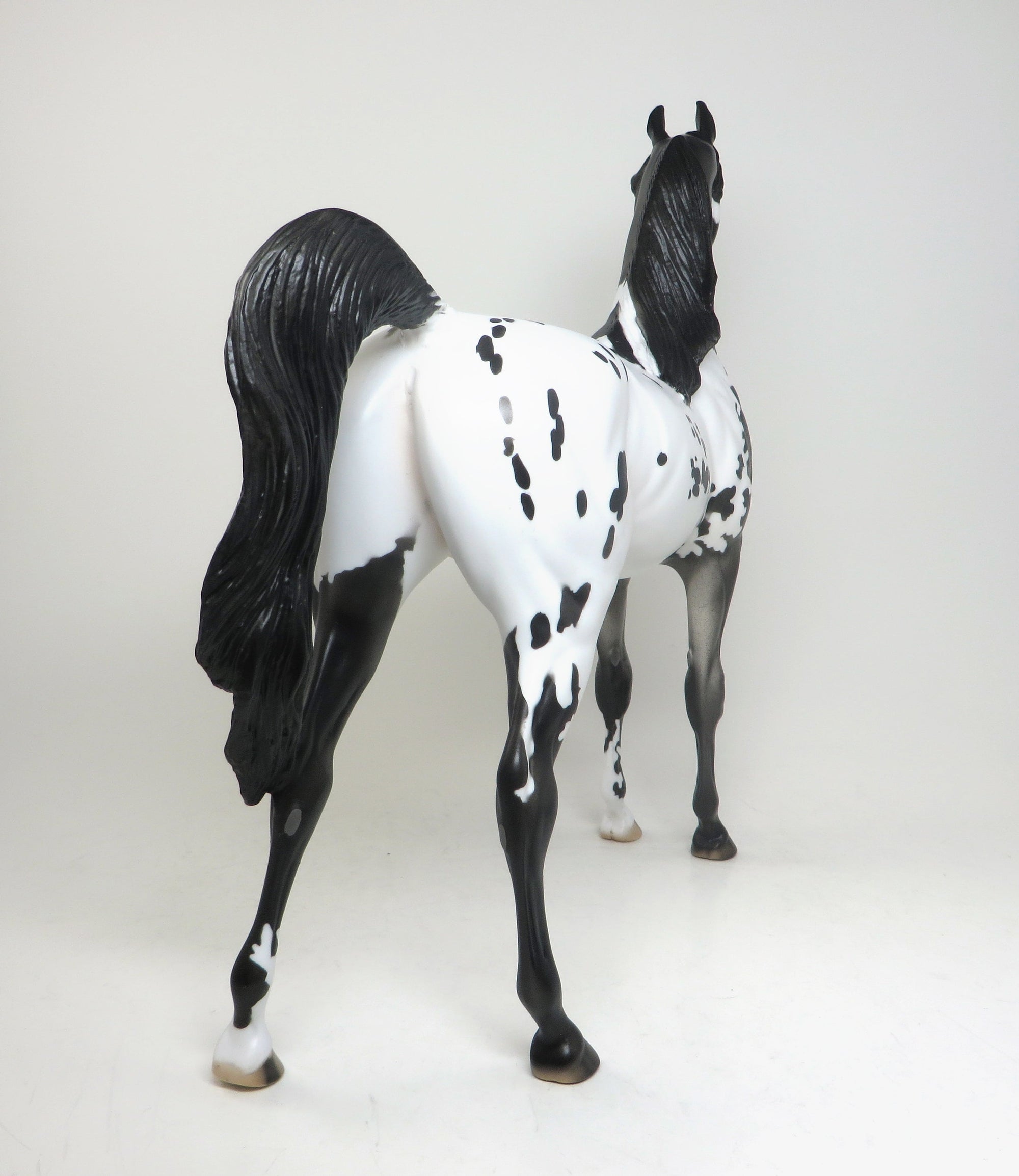 OOAK APPALOOSA