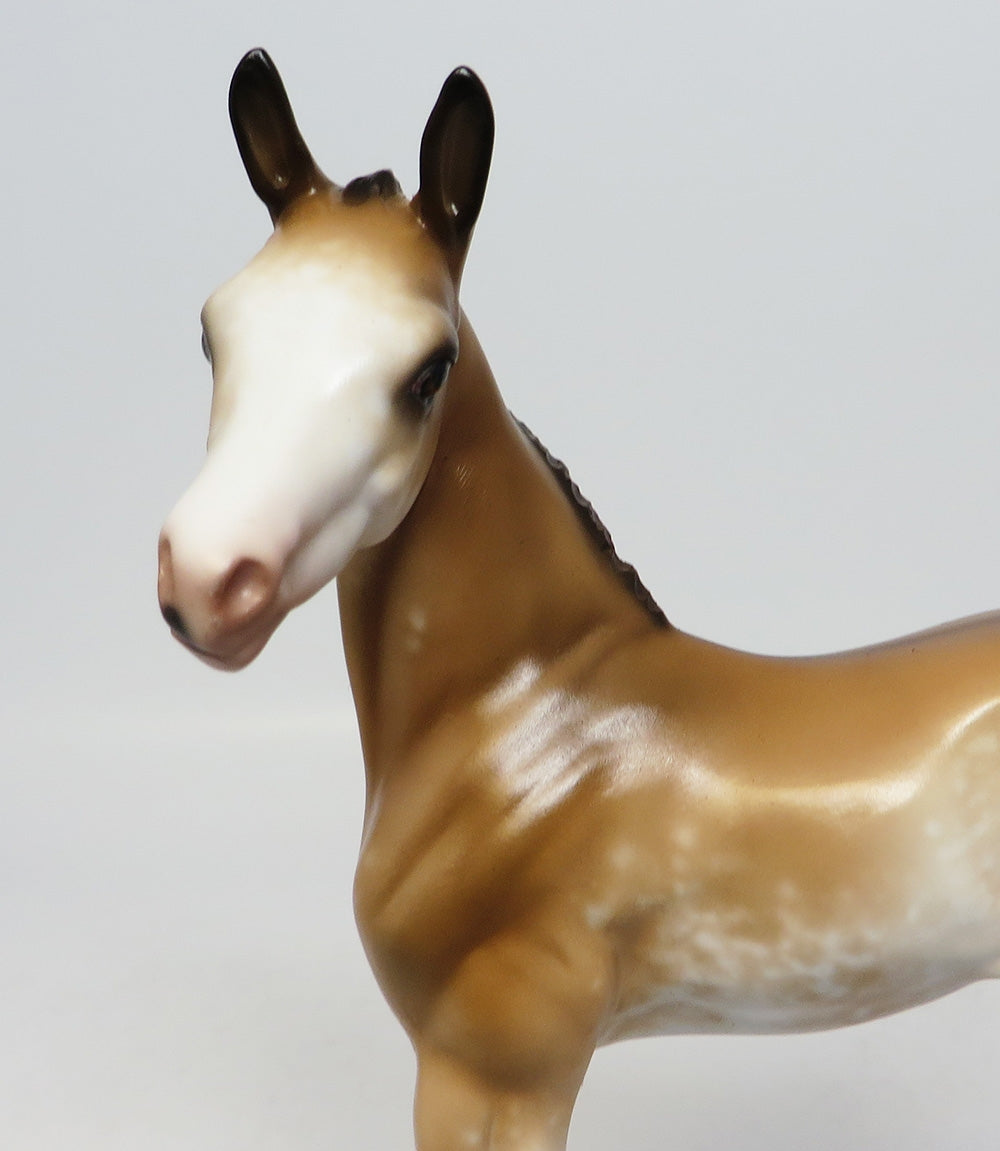 COCOA BEACH BABEE-OOAK DUN SABINO FOAL MODEL HORSE BY SHERYL LEISURE CUSTOMIZED BY ASHLEY