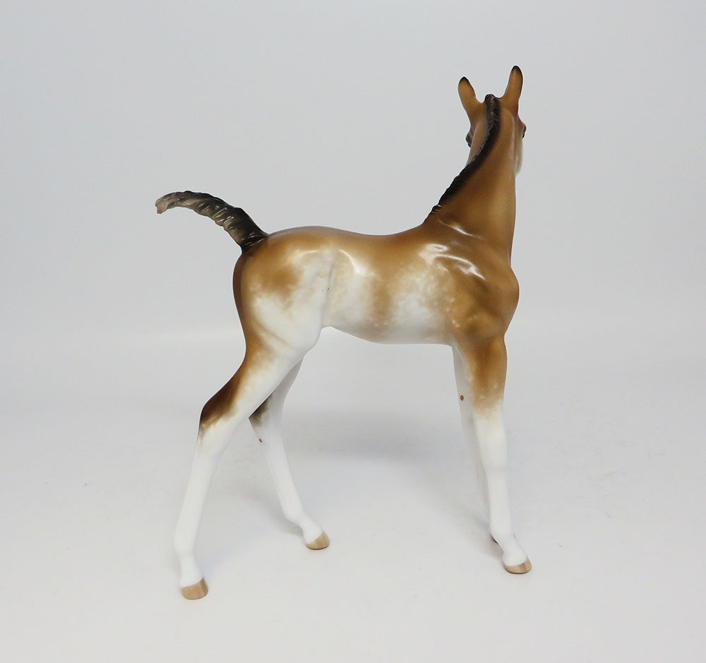 COCOA BEACH BABEE-OOAK DUN SABINO FOAL MODEL HORSE BY SHERYL LEISURE CUSTOMIZED BY ASHLEY