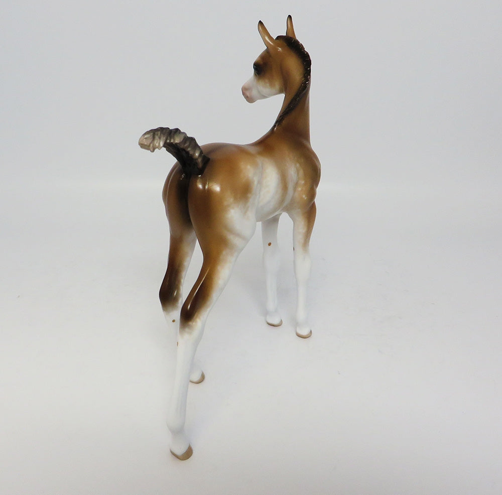 COCOA BEACH BABEE-OOAK DUN SABINO FOAL MODEL HORSE BY SHERYL LEISURE CUSTOMIZED BY ASHLEY