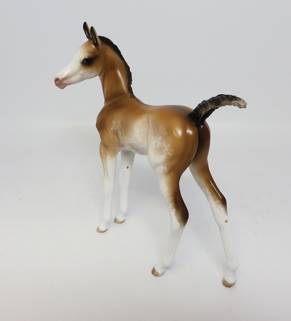 COCOA BEACH BABEE-OOAK DUN SABINO FOAL MODEL HORSE BY SHERYL LEISURE CUSTOMIZED BY ASHLEY