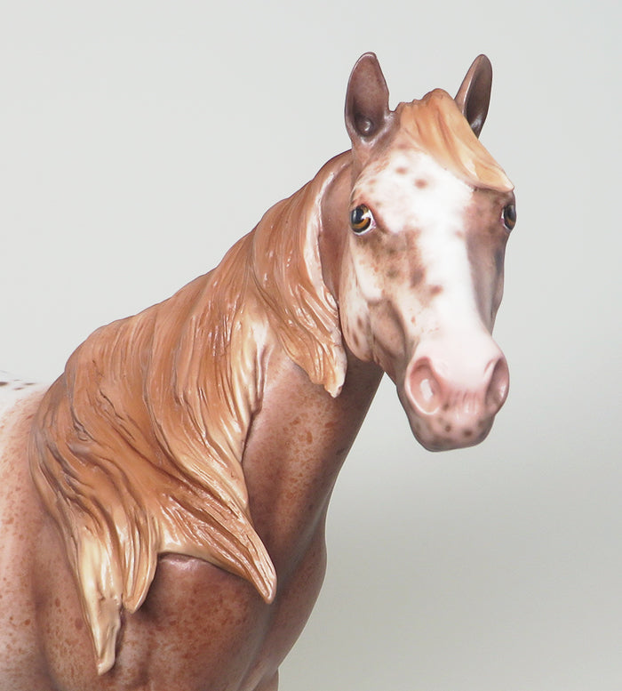 carbon copy sabino ish