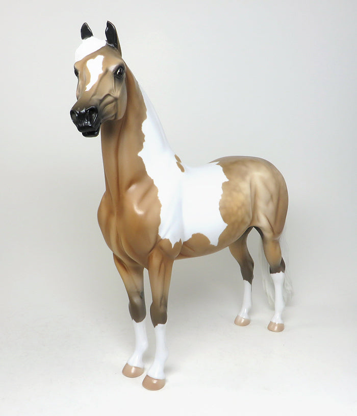 THE ABBEY - OOAK Dapple Palomino Pinto Morgan with Teeth by D'Array Jone Frank - 5/15