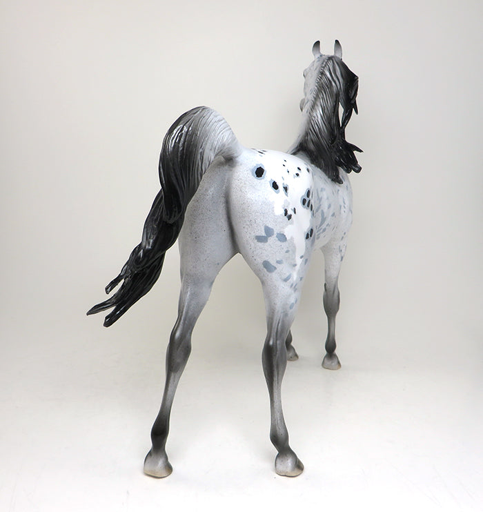 one of a kind arabian