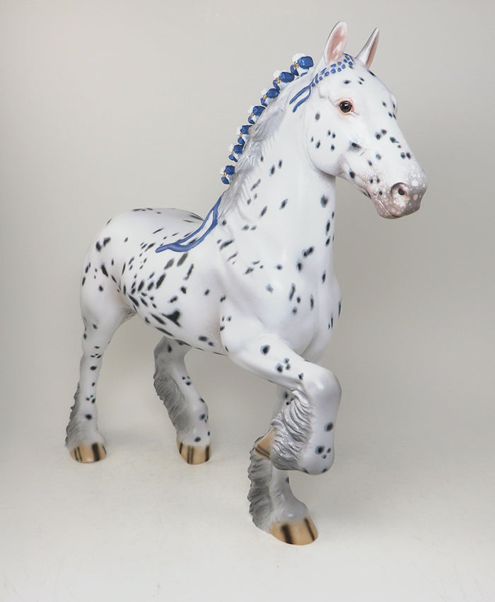appaloosa trotting drafter