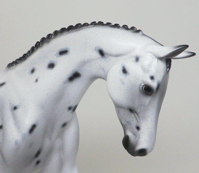 appaloosa english pony