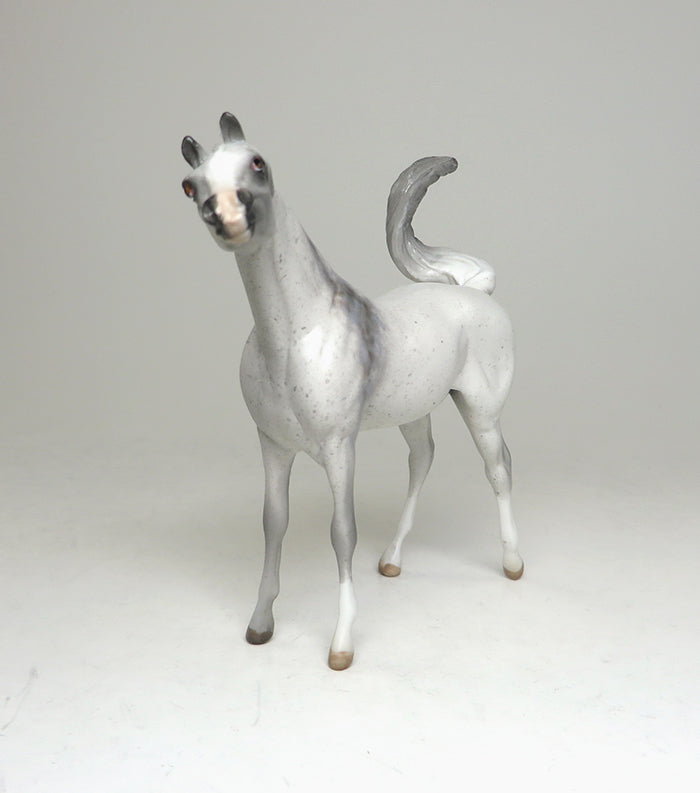 bloody shoulder arabian chips