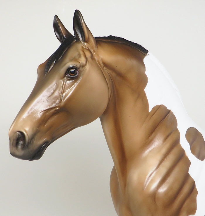 drafter one of kind buckskin paint