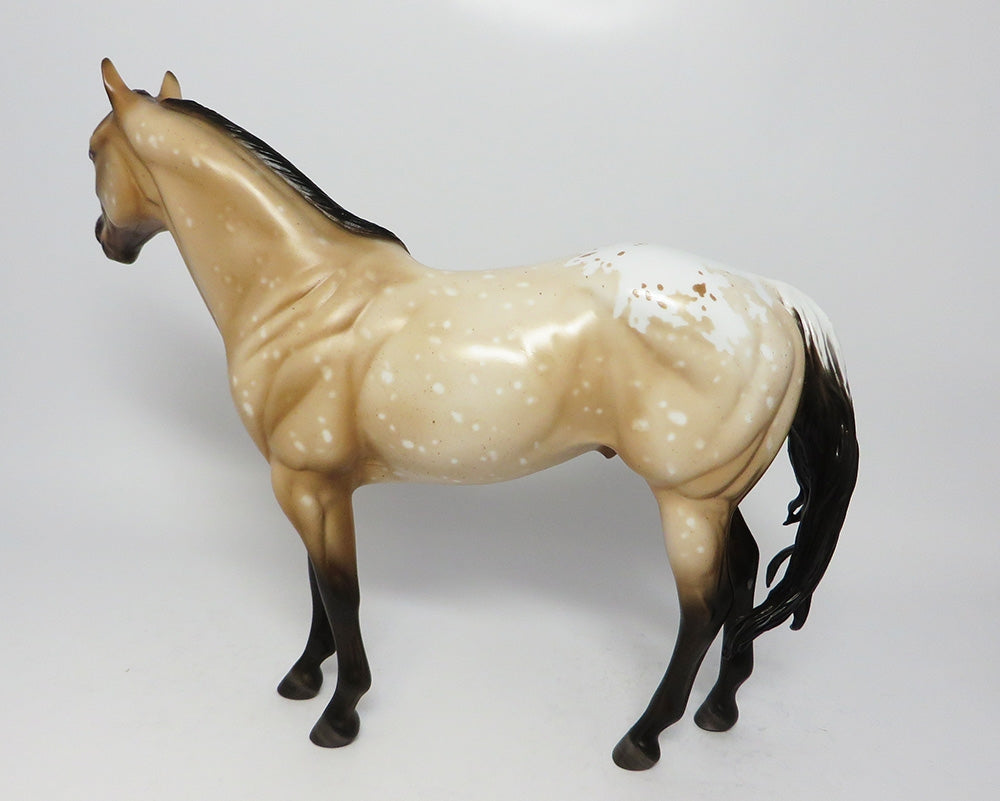 CAJUN-OOAK BAY APPALOOSA ISH MODEL HORSE 8/1/17