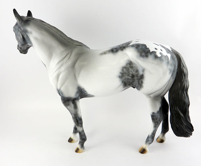 Appaloosa