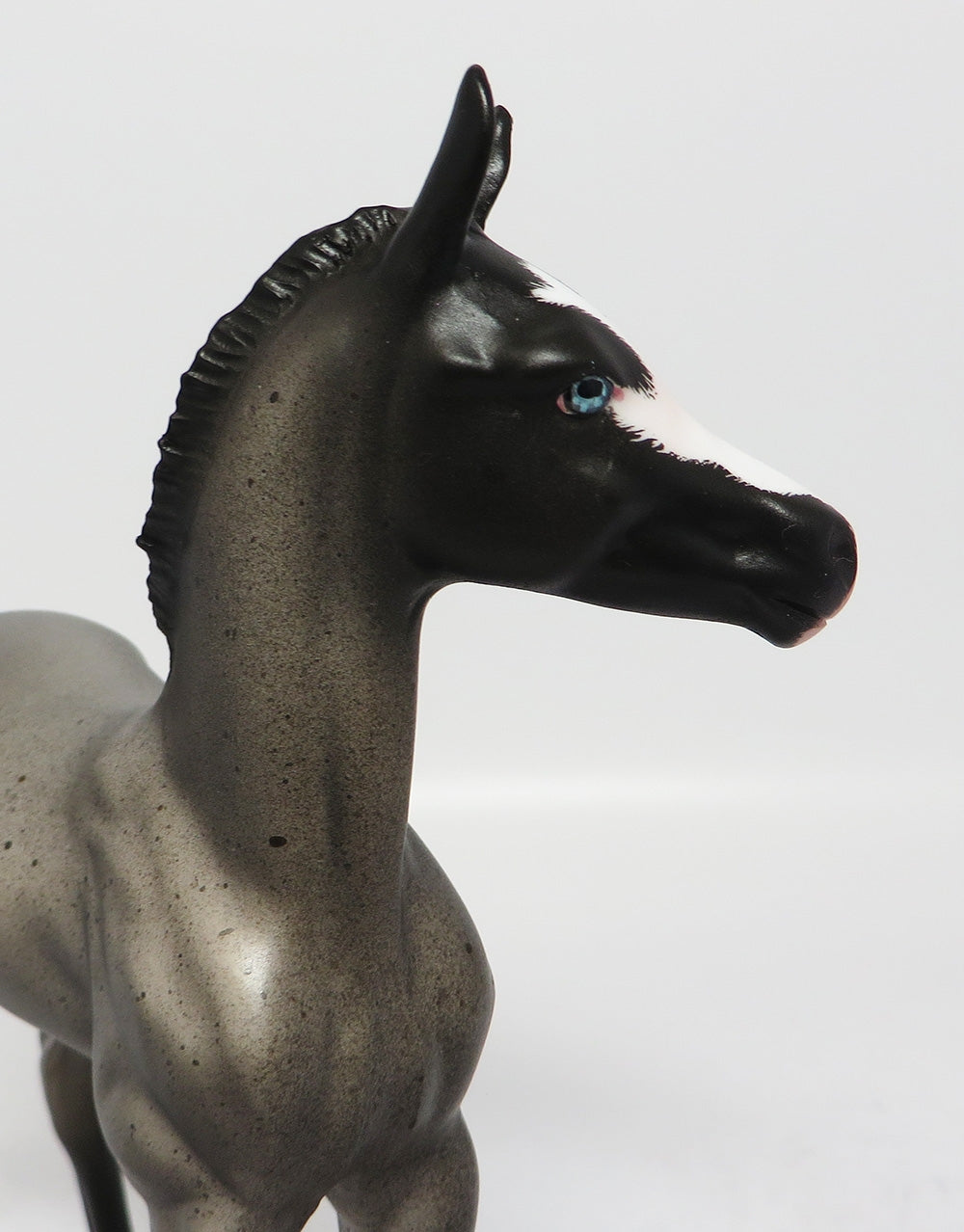 BOONE-OOAK BLUE ROAN FOAL MODEL HORSE 8/1/17