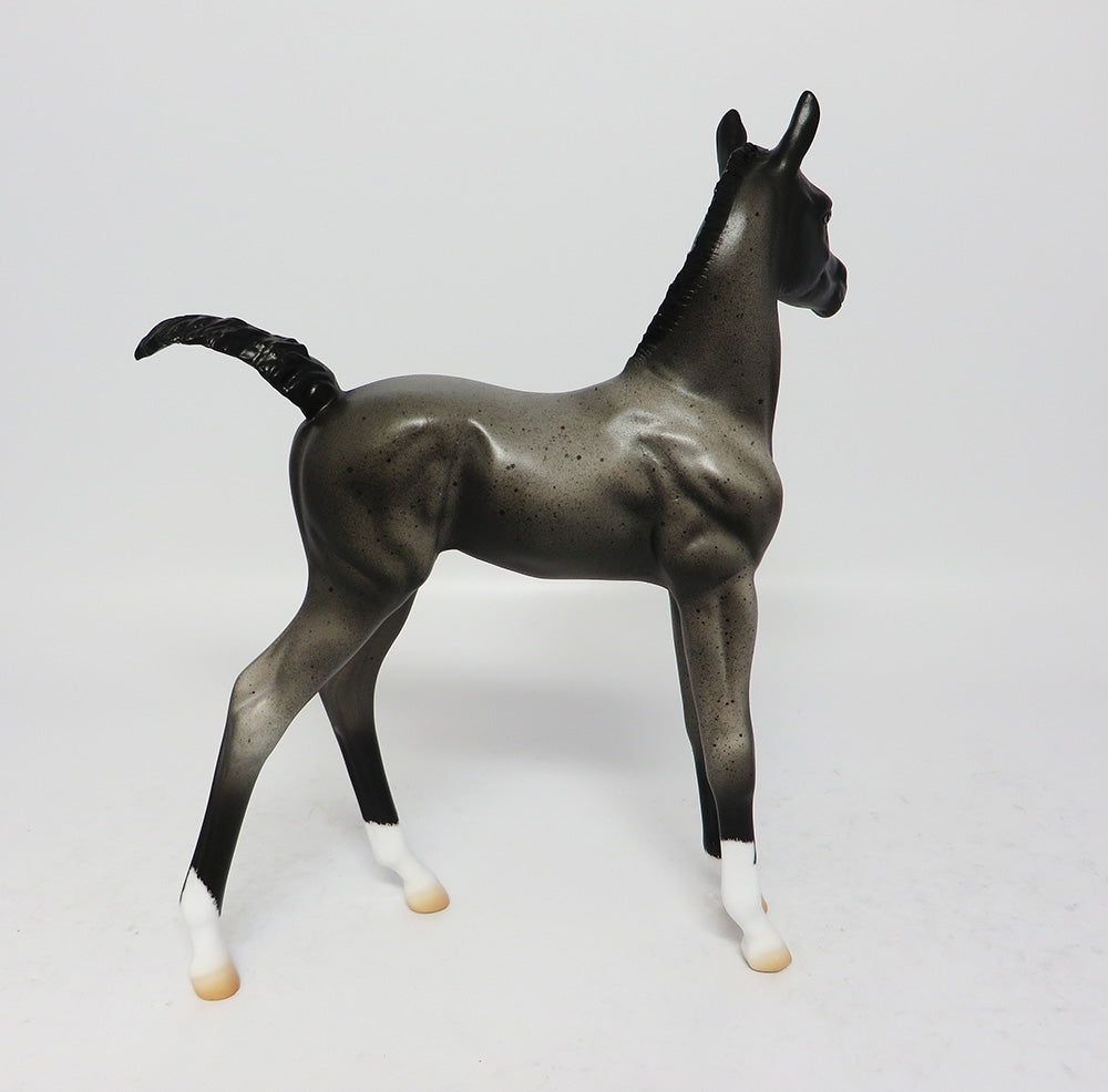 BOONE-OOAK BLUE ROAN FOAL MODEL HORSE 8/1/17