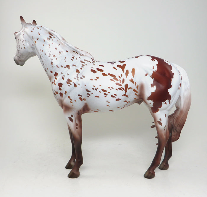 appaloosa stock horse