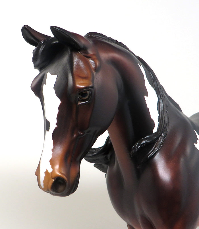 peter stone palouse broke 2 ride