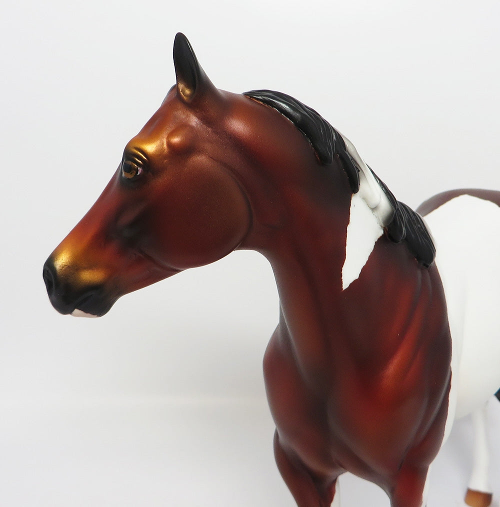 BREWER~OOAK BAY PINTO ISH MODEL HORSE 8/3/17
