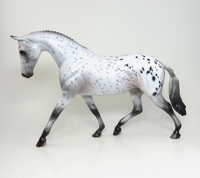 loud appaloosa peter stone pony