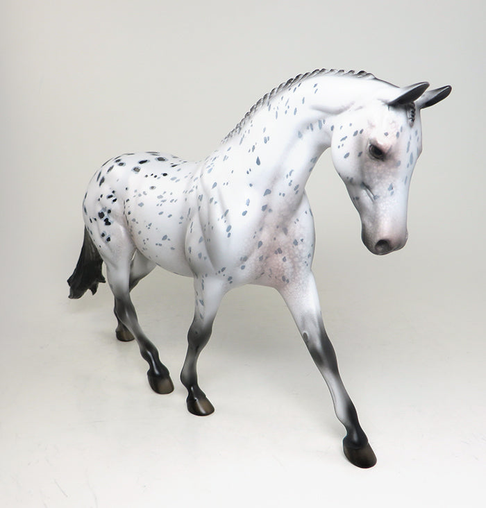 peter stone braided mane appaloosa pony