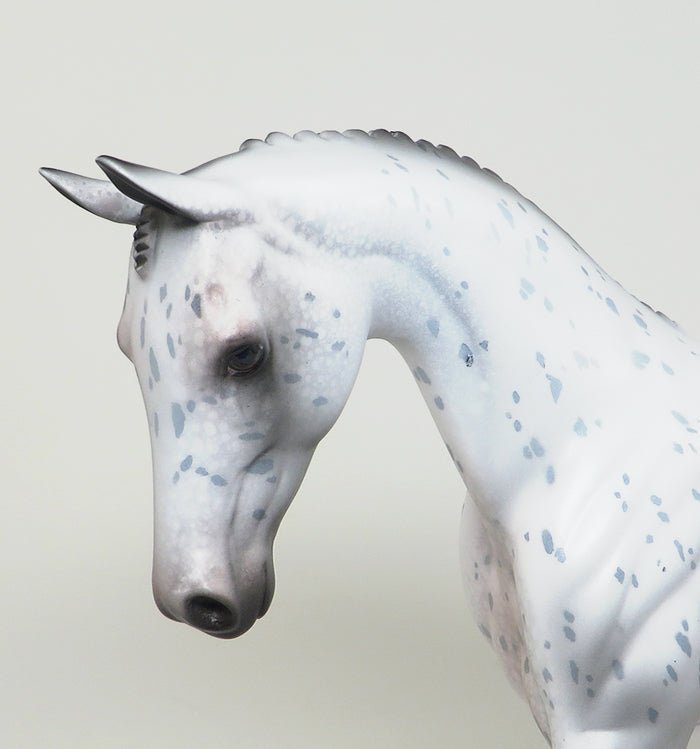 appaloosa major freckles