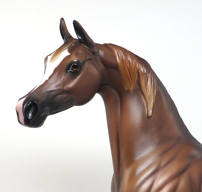 one of a kind the alias arabian peter stone