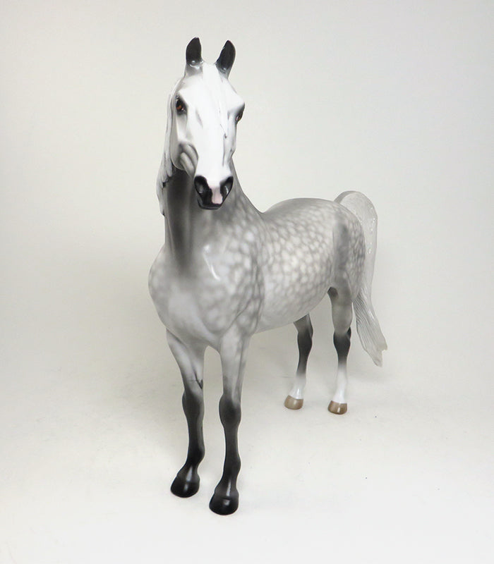 dapple grey peter morgan