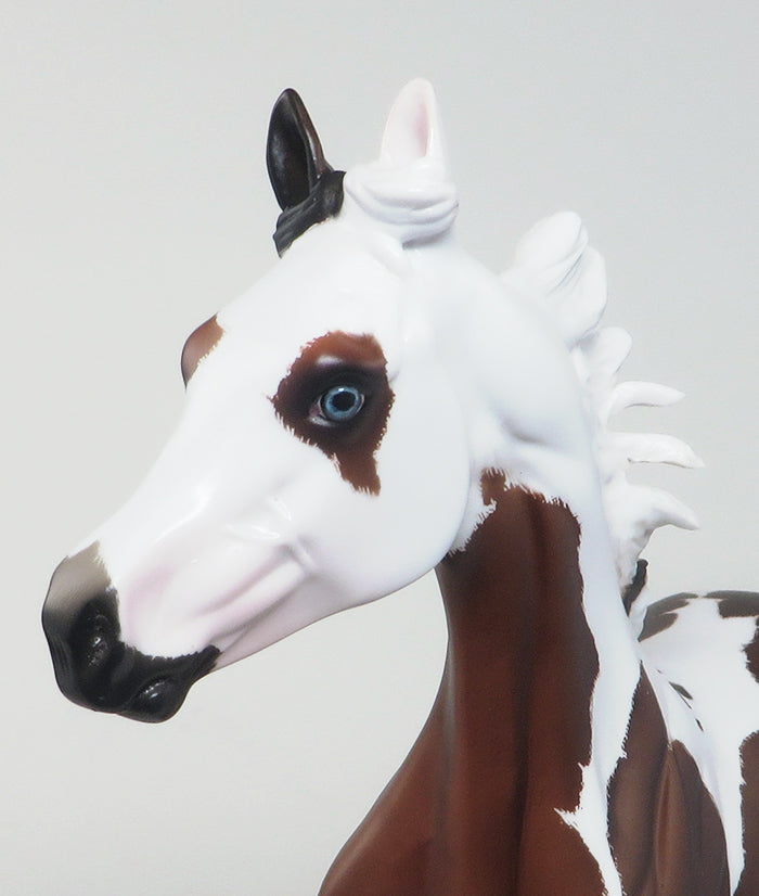 BLUE EYES "SHOW GIRL" - ETCHED PINTO YEARLING MODEL HORSE BY SHERYL LEISURE - 3/17