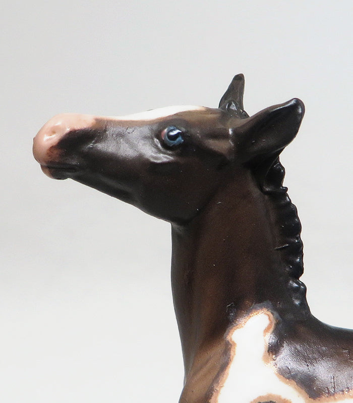 PIP - OOAK BAY PAINT CHIPS FOAL MODEL HORSE BY SHERYL LEISURE