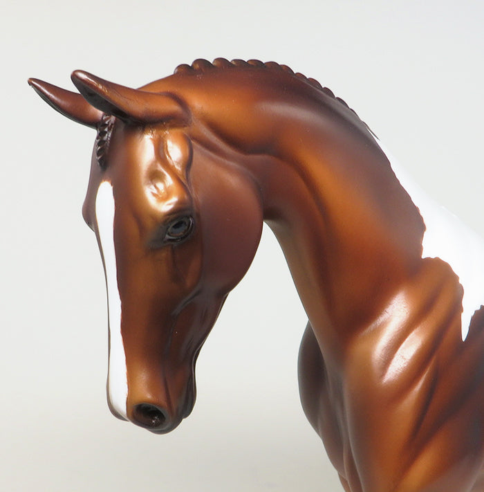 beautiful chestnut paint pony oh fudge