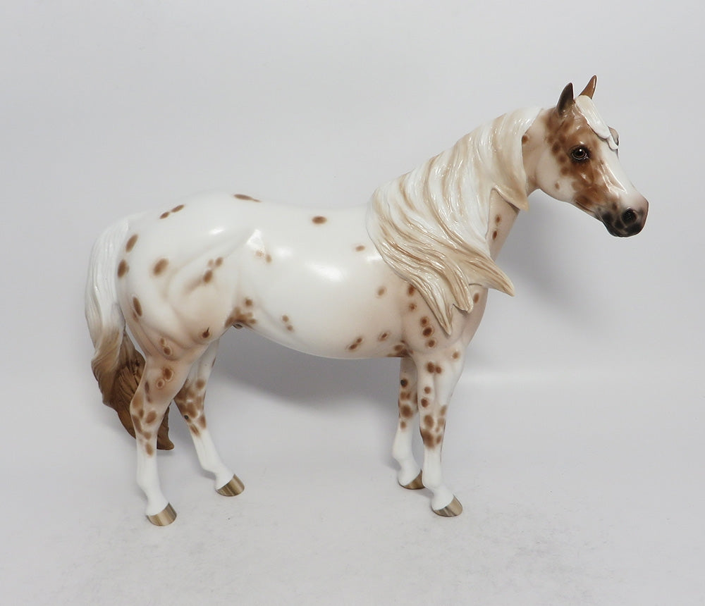 Appaloosa