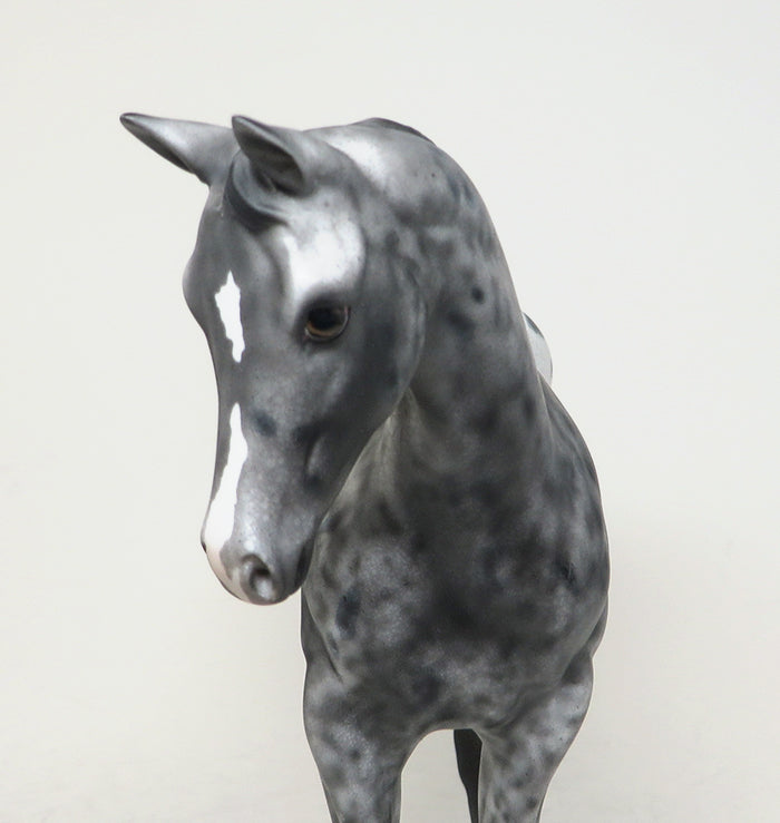 peter stone weanling