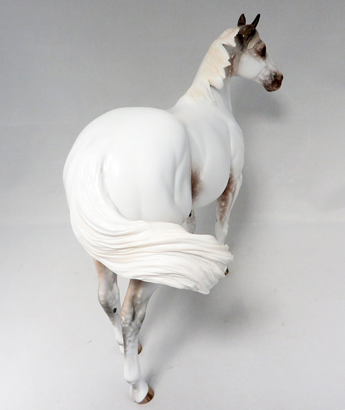 FRECKLE'S COWBOY-OOAK APPALOOSA ISH MODEL HORSE BY SHERYL LEISURE 8/16