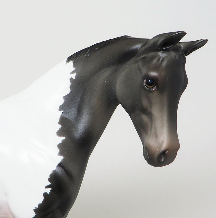 appaloosa model horse