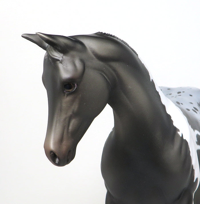 appaloosa one of a kind