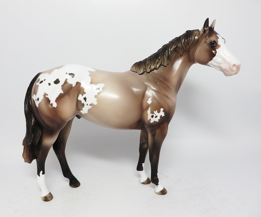 COOL BREEZ-LE3 ROSE GREY APPALOOSA ISH MODEL HORSE 8/17/17