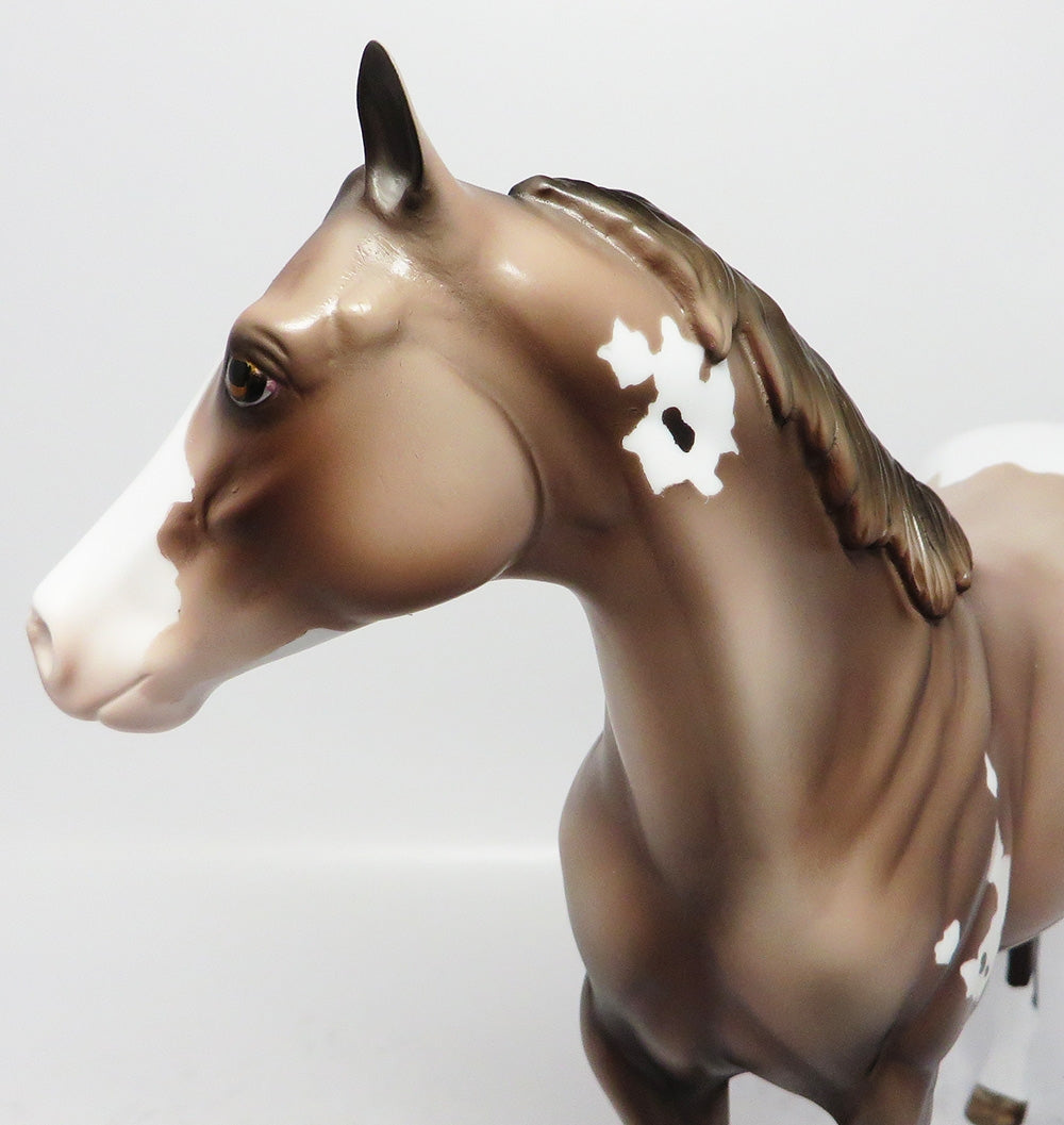 COOL BREEZ-LE3 ROSE GREY APPALOOSA ISH MODEL HORSE 8/17/17