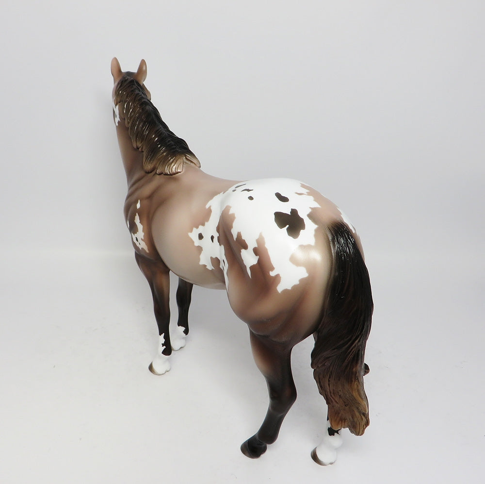 COOL BREEZ-LE3 ROSE GREY APPALOOSA ISH MODEL HORSE 8/17/17