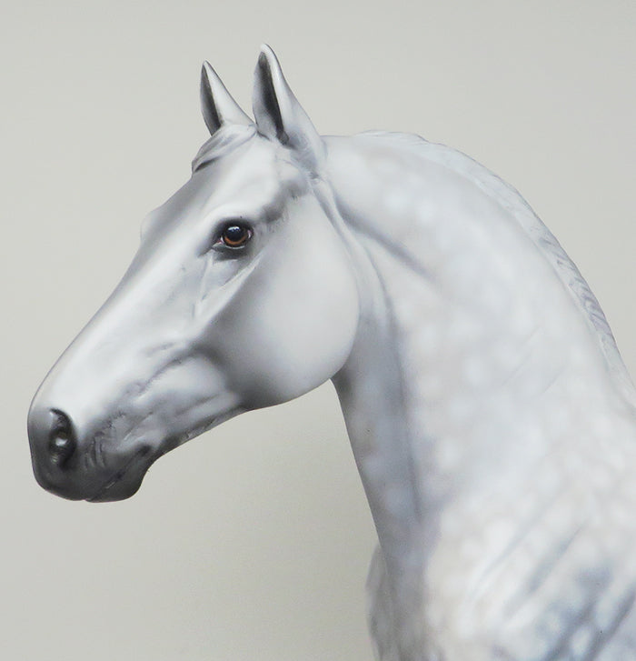 dapple grey draft horse