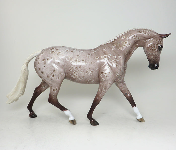 Chestnut Appaloosa