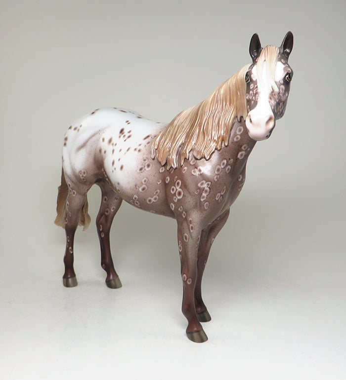 appaloosa ish