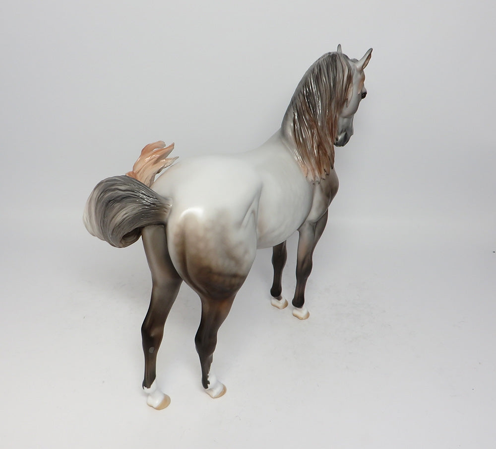 CACTUS~OOAK DAPPLE GREY SPANISH MUSTANG MODEL HORSE 8/18/17