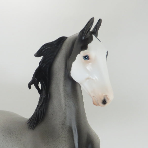 BORN TO DO IT - OOAK Blue Roan Saddlebred Model Horse Pinto - 5/15