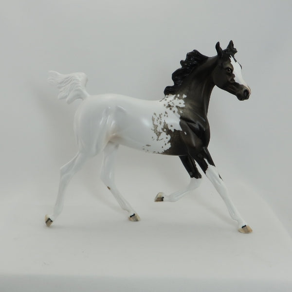 GIDEON - OOAK Appaloosa Model Horse Yearling - 5/15