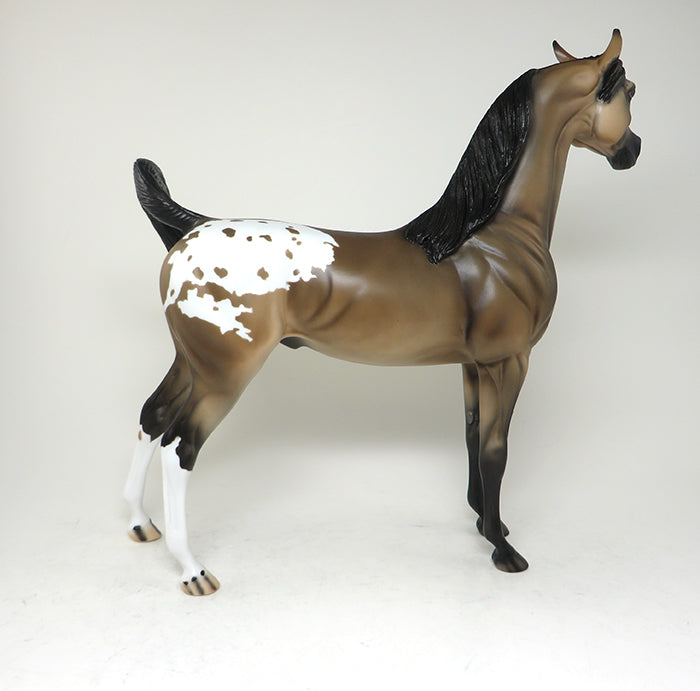 APPALOOSA