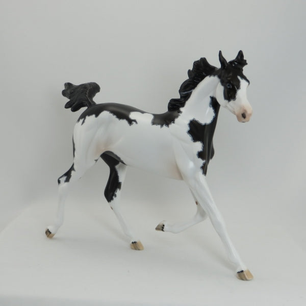 GARRETT - OOAK Black Frame Overo Pinto Yearling Model Horse with Mapping - 5/15