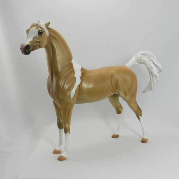 GOLDEN BOY - OOAK Custom Palomino Pinned Ear Arabian - 5/22